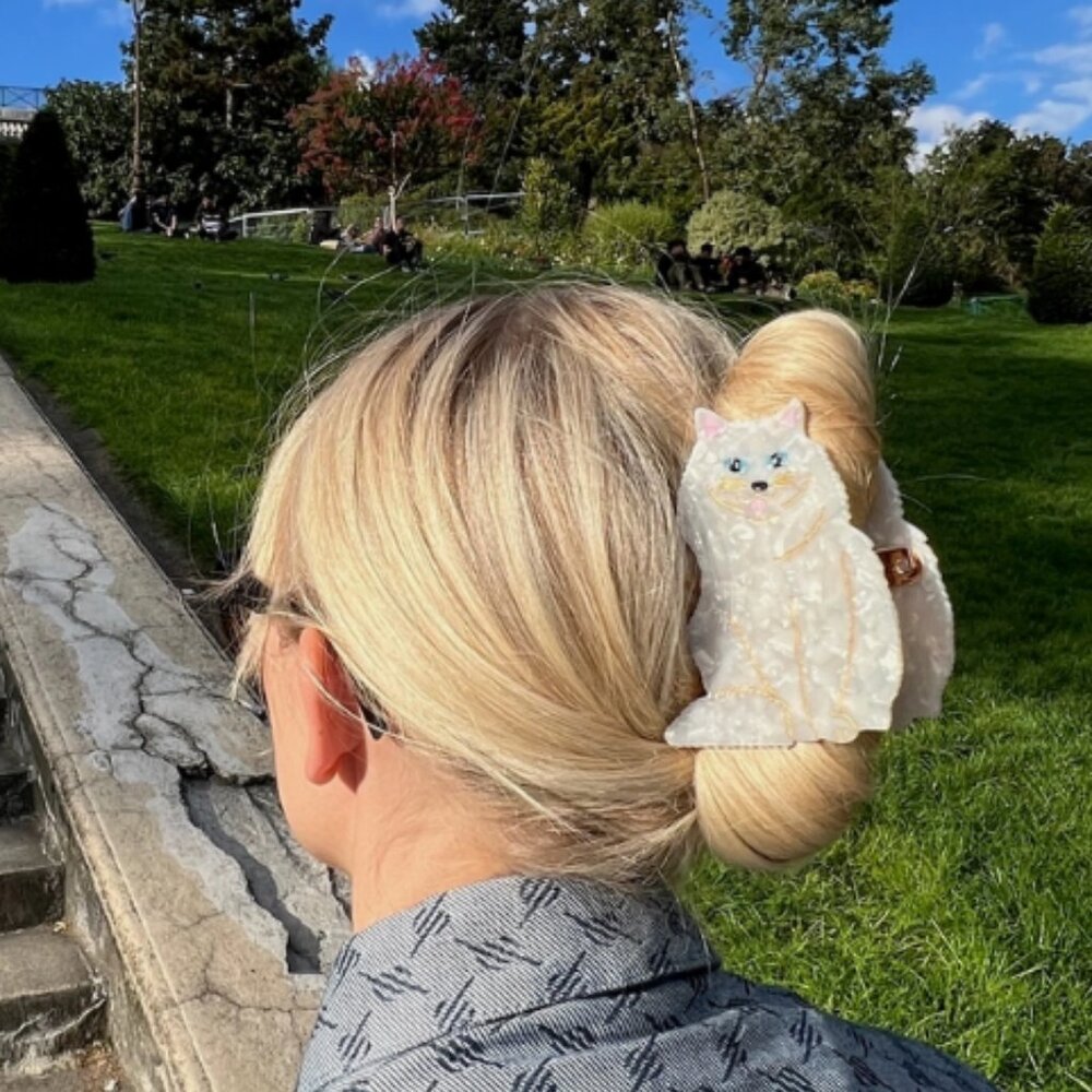 Hand-painted Persian Cat Claw Hair Clip